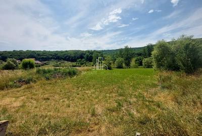Teren 5200 Mp, Corunca, strada Primăriei