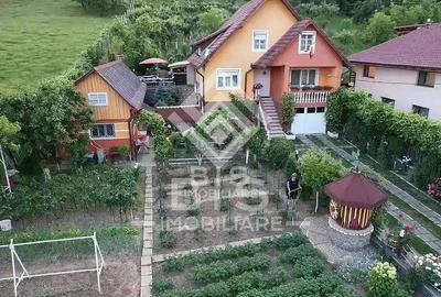 Casă cu 4 camere cu Teren 1860 Mp în Viișoara - 7