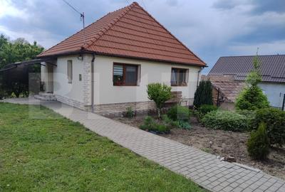 Casa in Teaca cu 4 camere si 10 ari de teren - 1