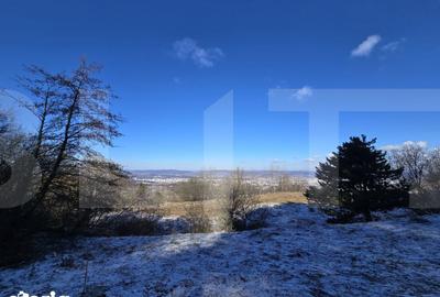 Teren de 4000 mp, în Făget