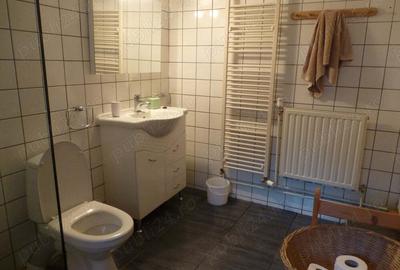 Casa de vanzare Brebu Nou Casa de vanzare Brebu Nou - 3