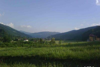Teren în Brădet - 1