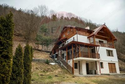 Casă cu 10 camere cu Teren 3300 Mp în Vale - 20