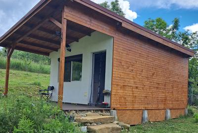 Casă individuală cu 1 camere în Tureni - 3