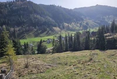 Spațiu comercial, în Pojorâta - 6