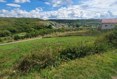 Spațiu comercial, în Săldăbagiu de Munte