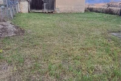 Casă cu 2 camere în Șoimeni - 4