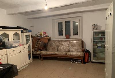 Casa mica in renovare si teren {gradina+livada] in sat Tes, jud.Timis - 4