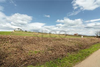 Teren intravilan Cetariu - 2