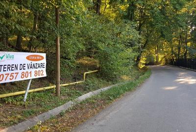 Bucium-Pietrărie, teren 5000 mp, la asfalt, pădure - 4