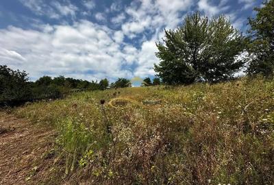 Teren de 1870 mp, în Sohodol - 4