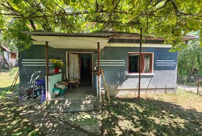 Casa de caramida in Hondol jud. Hunedoara - 4