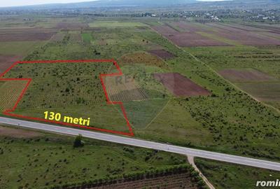 Teren de 33000 mp, în Bolotești - 6