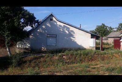 Casă cu 2 camere cu Teren 1439 Mp în Cermei - 14