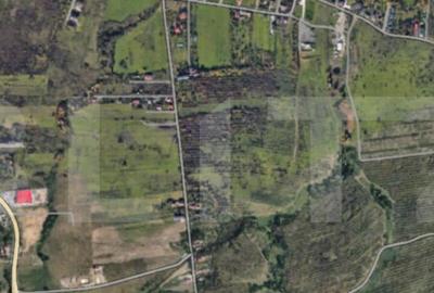 Teren de 2500 mp, în Bună Ziua