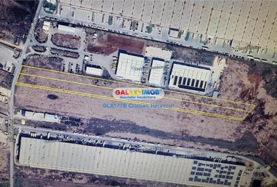 Teren Industrial 3 HECTARE Str Rudeni cu deschidere 50 ML - 8