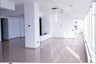 Spațiu comercial, de 295 mp, în Podgoria - 2