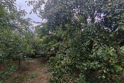 Casă individuală cu 2 camere cu Canalizare în Nord-Est - 9