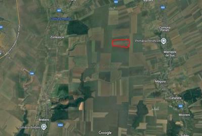 Teren agricol extravilan de 475000 mp, în Brebeni - 1