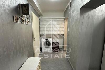 Casa individuala cu 4 camere,2 bai,mobilata,Calea Lipovei - 4