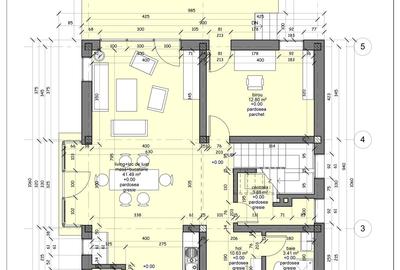 Casa P+M in Izvin - 5