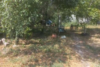 Vind casa formata din doua cladiri,in Prin?u Turcesc - 2