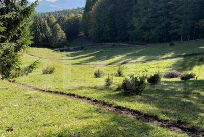 Teren de 2792 mp, în Colibița - 6