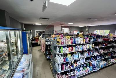 Spațiu comercial, de 212 mp, în Smârdan - 6