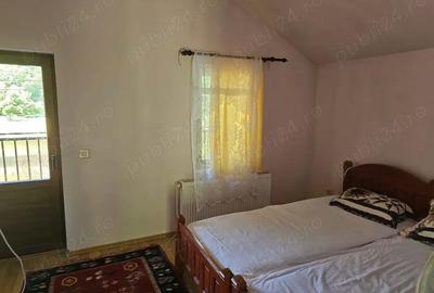 Casă cu 3 camere cu Teren 1500 Mp în Băile Herculane - 4