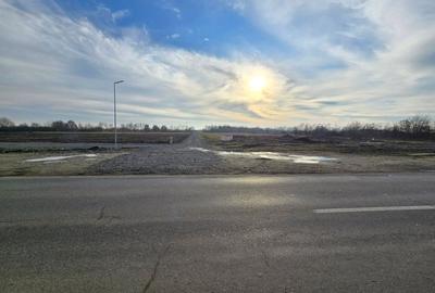 Spațiu comercial, în Moșnița Nouă - 3