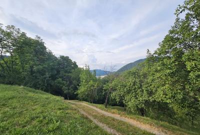 TEREN DE VANZARE SECIURI - 5