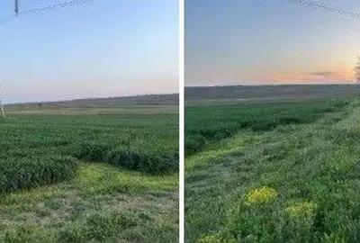 Teren cota parte 1/6 Paunesti, ID: R2547851 - 6