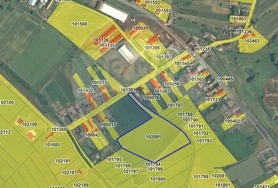 Teren de vanzare Blajel, jud. Sibiu | 15.360 mp - p... - 14