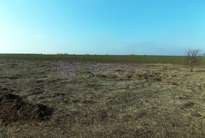 OVIDIU - ACADEMIE - Teren intravilan 674 mp pentru una sau doua case! - 3