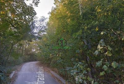 Teren Ramnicu Valcea / 28 Ha Teren Ramnicu Valcea / 28 Ha - 3