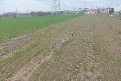 Spațiu comercial, în Ișalnița - 4