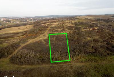 Teren de 4278 mp, în Paleu