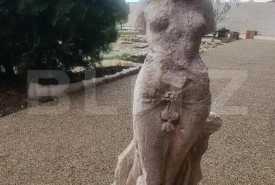 Casă cu 8 camere cu Teren 28000 Mp în Baba Ana - 13