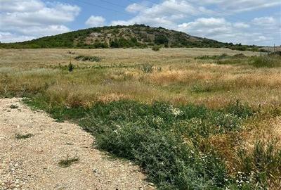 Teren intravilan de 503 mp, în Betfia - 2
