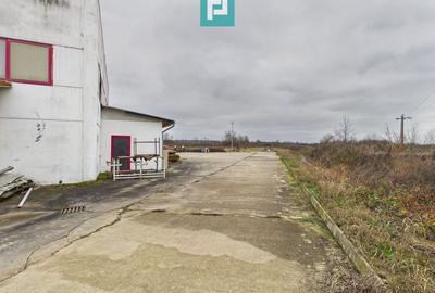 Hală de producție, cu birouri și teren, în Sebiș - 52