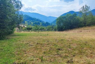 Spațiu comercial, în Malaia - 2