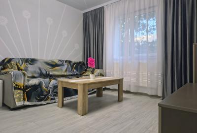 Drumul Gazarului | Apartament 2 camere - 1