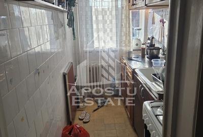 Apartament cu 2 camere nedecomandat în Iosefin - 3