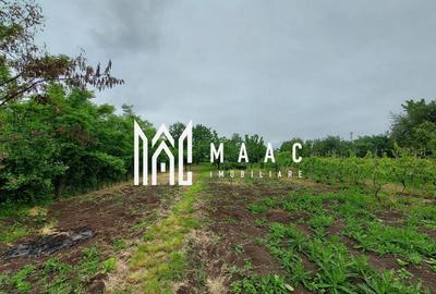 Casa | 1331 mp Teren | Miercurea Sibiului | - 9