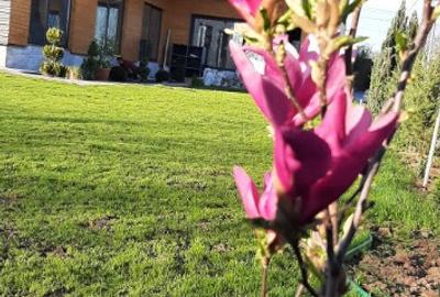 Casa noua parter Malu Mare, Dolj - 1