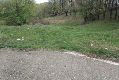 Teren în Buștenari - 2