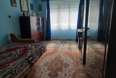 Casa 4 camere mobilate, garaj mare, gradina si atelier, Resita, zona Muncitoresc - 7