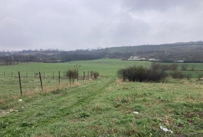 Miroslava! Teren agricol 6435, la 2 min de Primarie! - 3