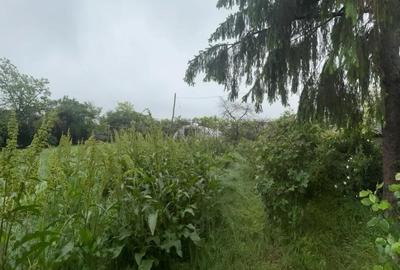 Casă cu 3 camere cu Teren 2000 Mp în Produlești - 4