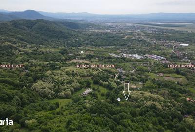 Casă cu 4 camere cu Teren 7400 Mp în Cicârlău - 8